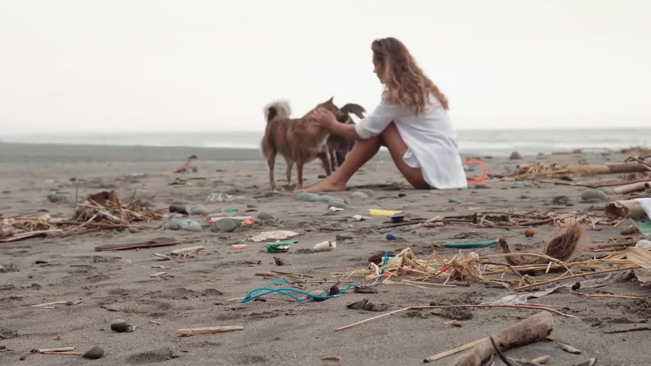 plastic playing with two local dogs petting them with picturesque horizon in background