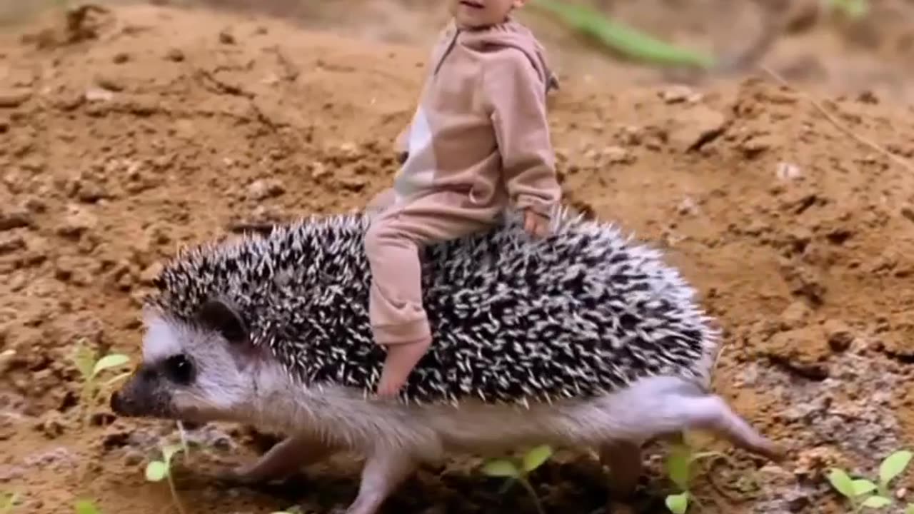 Funny baby.Funny and beautiful video