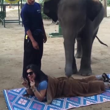 Massage by Elephant in Thailand Country.