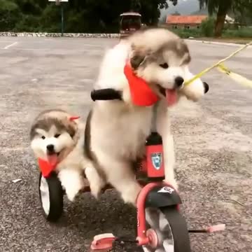 Getting ready for your Bike racing