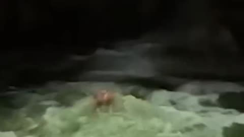 Mr beast in freezing water