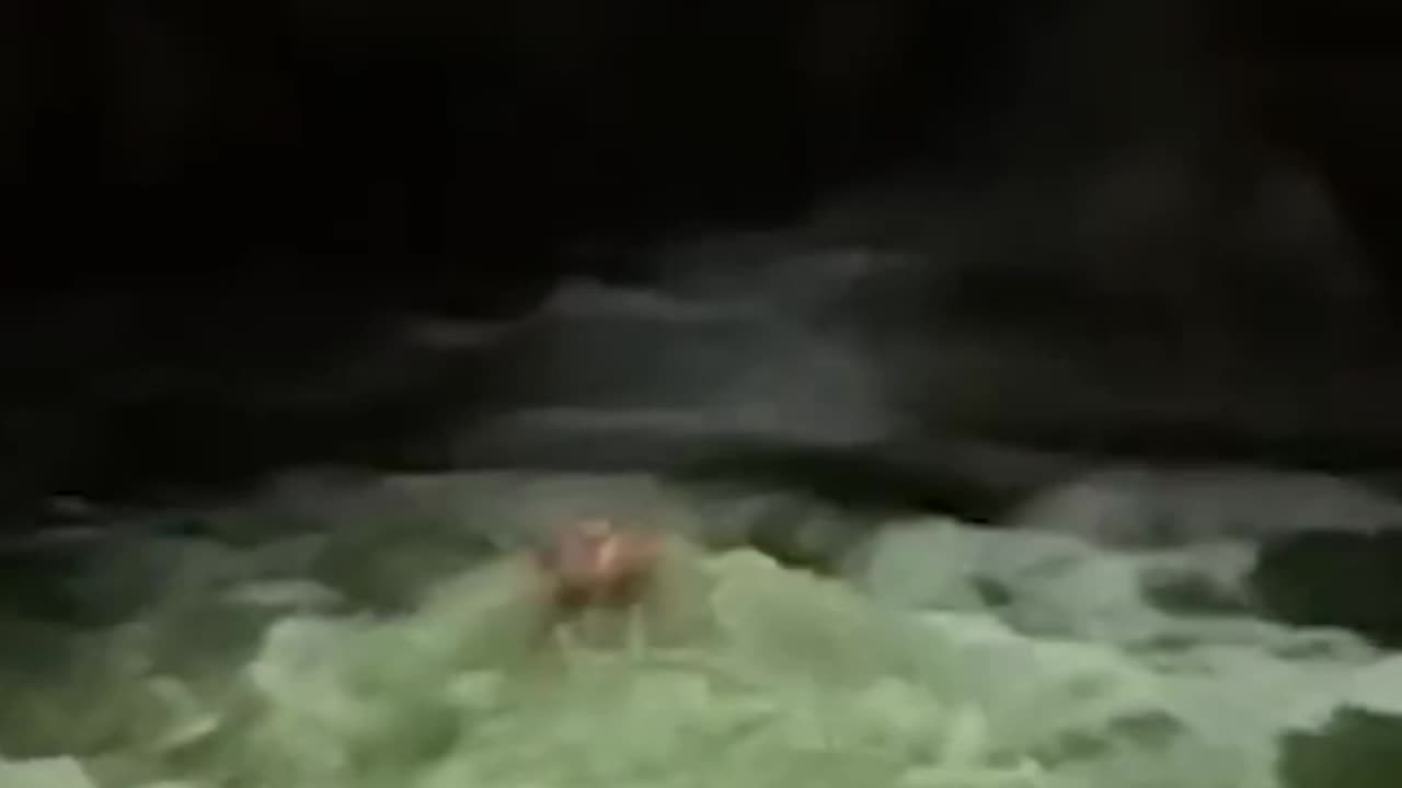 Mr beast in freezing water