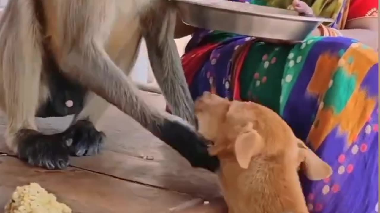 Kaka and Diem