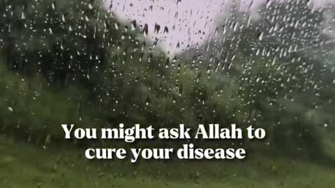 Allah will guide us Insha'Allah