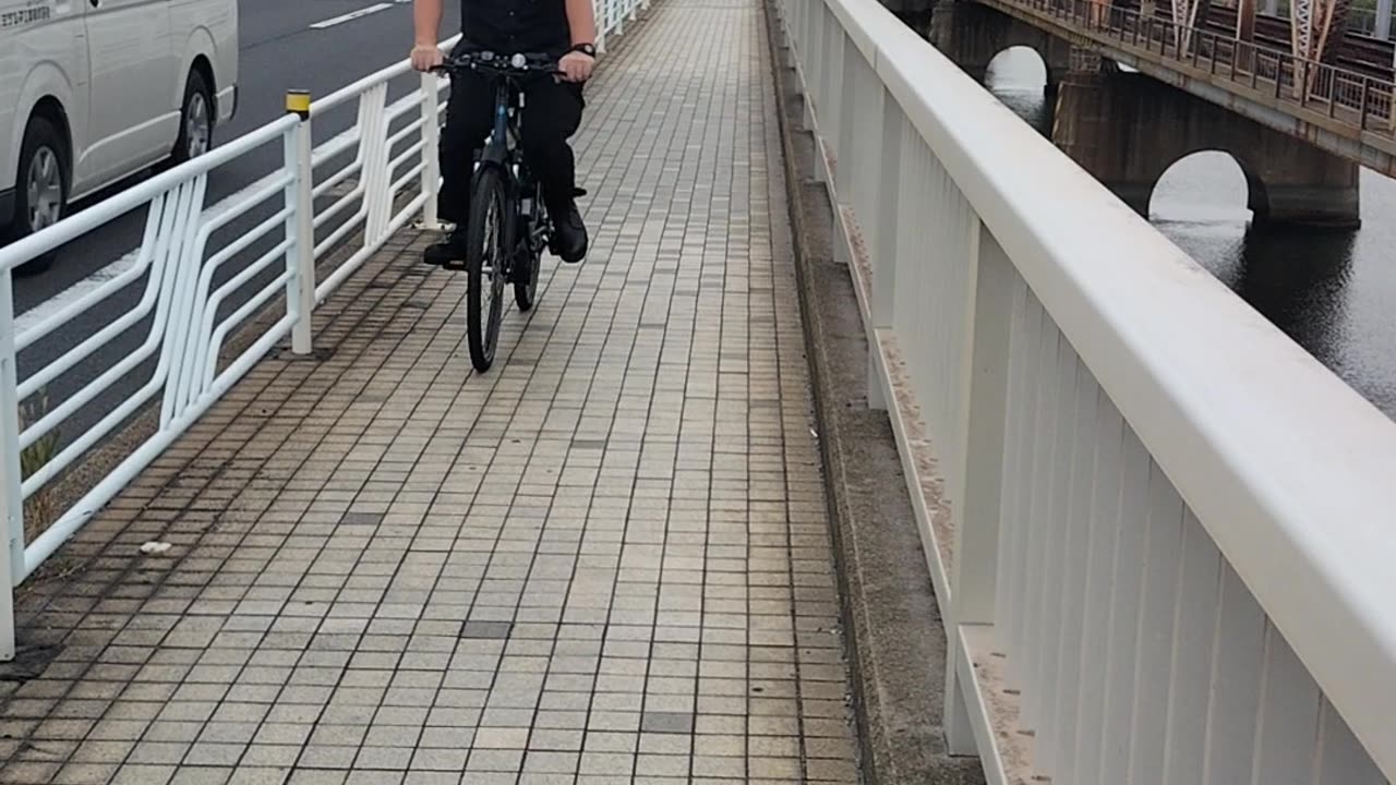 youtubeで削除された動画