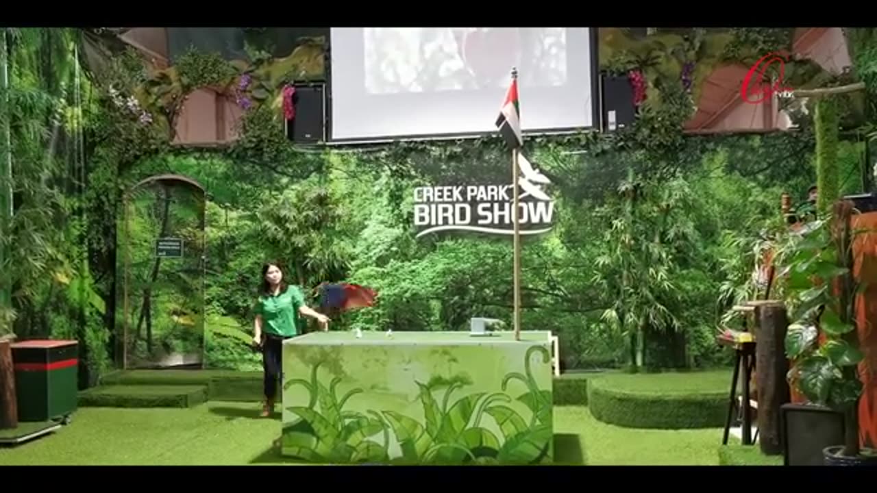 WOW !! BIRDS SHOWS IN DUBAI !! CREEK PARKS !! DUBAI PUBLIC PARKS !!!!