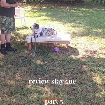 Ruff Cut PodCast Leash Handling part 5 cut 1