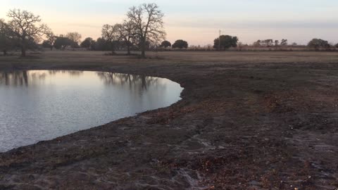 Gettings Texas Pond