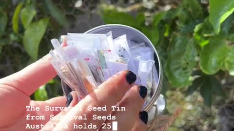 Survival Seed Tin Kit