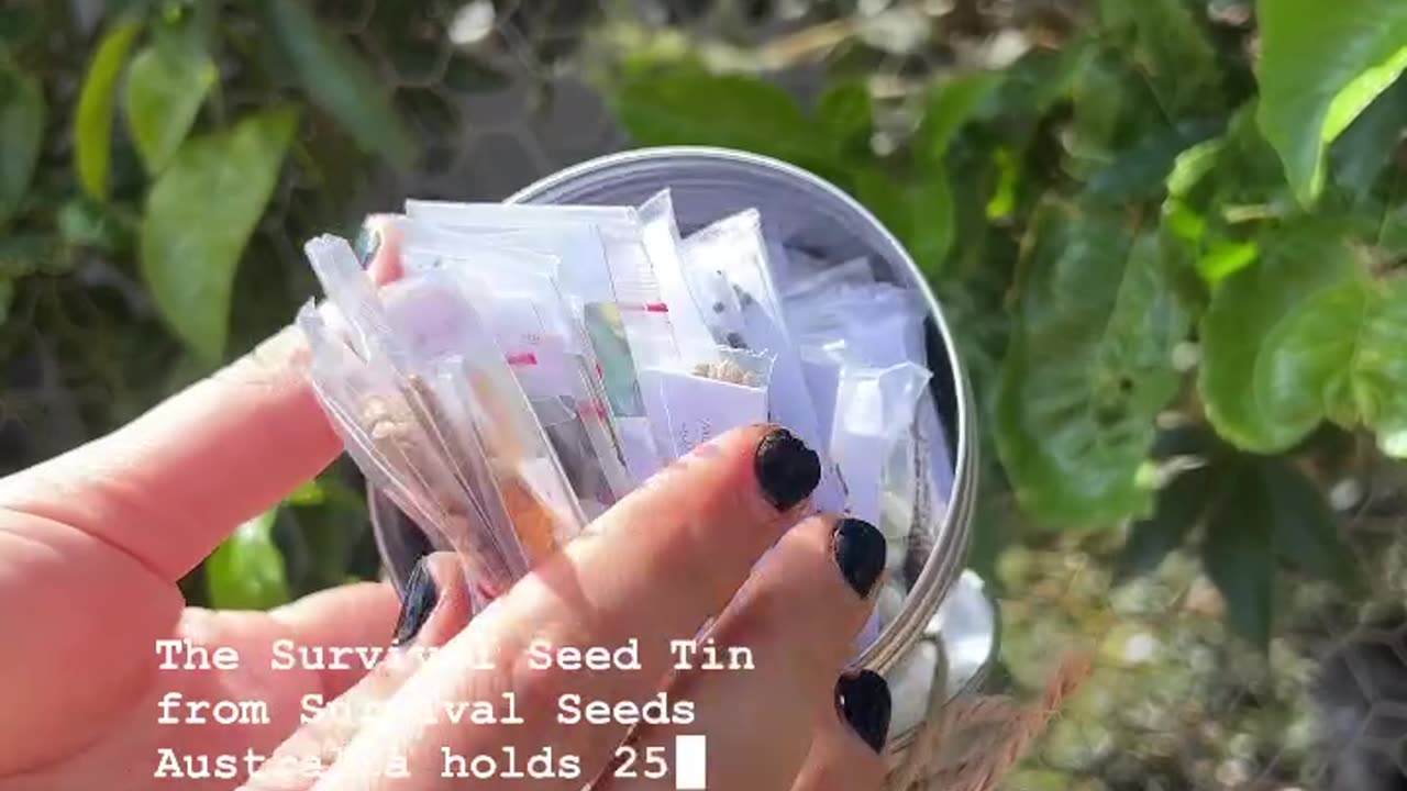 Survival Seed Tin Kit