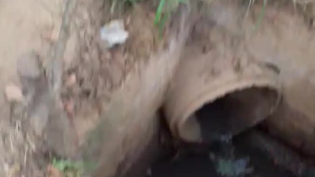 Viamão/RS destruída pela corrupção