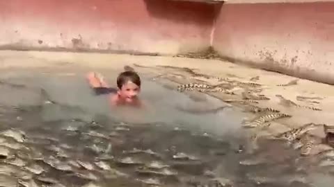 Kid Swimming With Hundreds Of Crocodiles #shorts #shortvideo #video #virals #videoviral