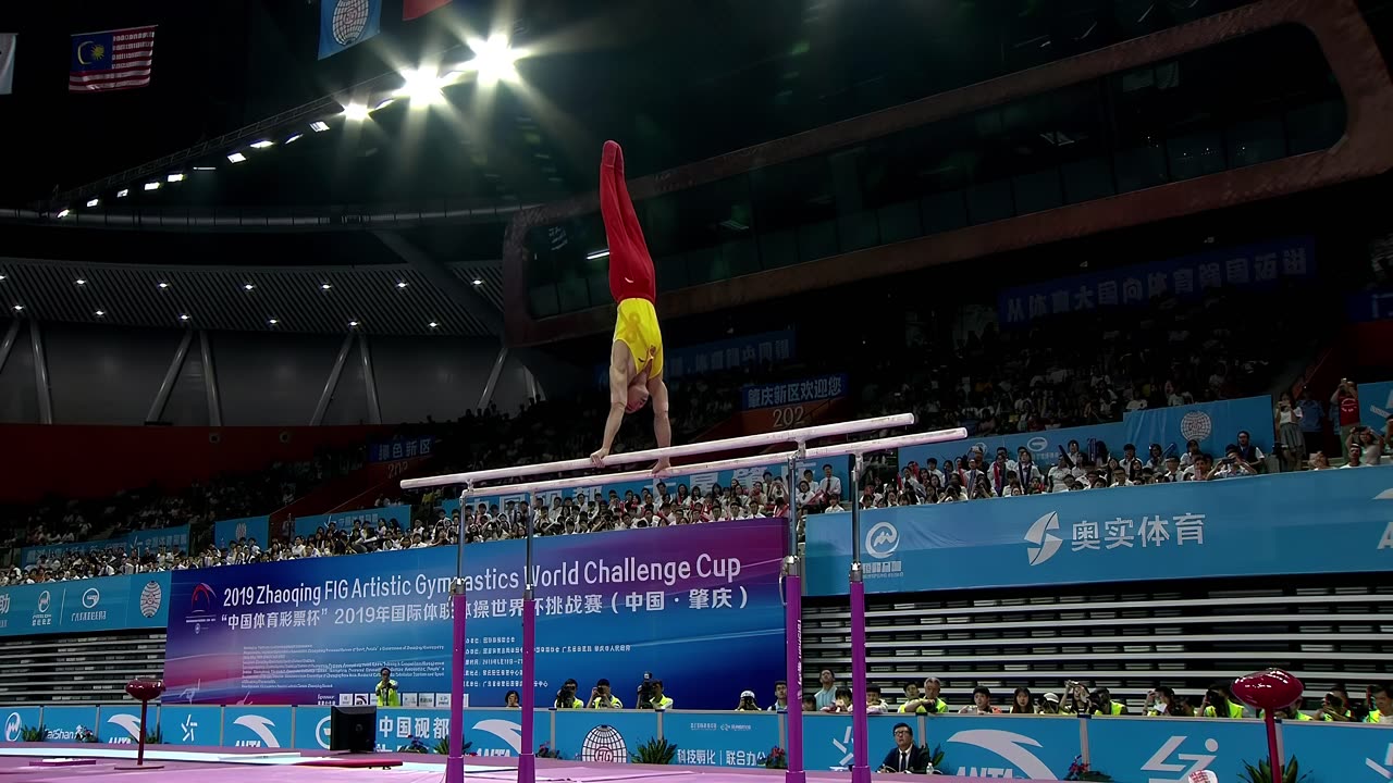 邹敬园 ZOU JINGYUAN🇨🇳🥇Parallel Bars Event Final 2019 FIG Zhaoqing World Cup *16.150* (FIG.4K)