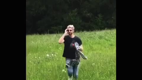 Flowers in the Spring