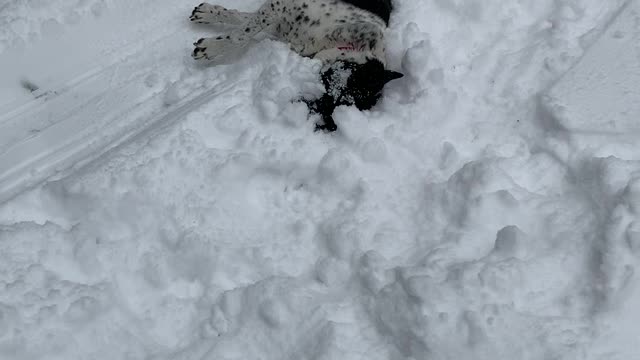 MK and Ash love the snow