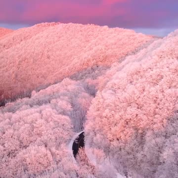 great view while driving