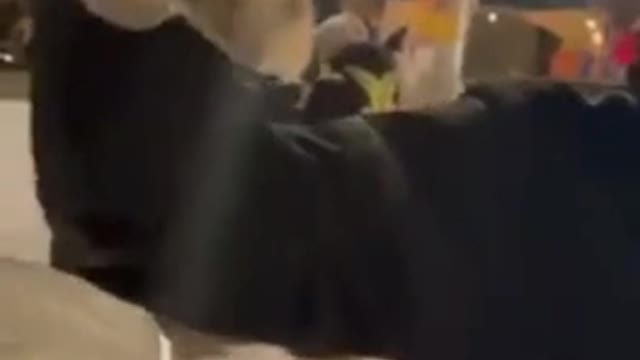 Are Arrests of Ottawa Freedom Protesters Just for Show?