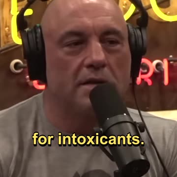 Bees & Psychedelics #psychology #honey #bees