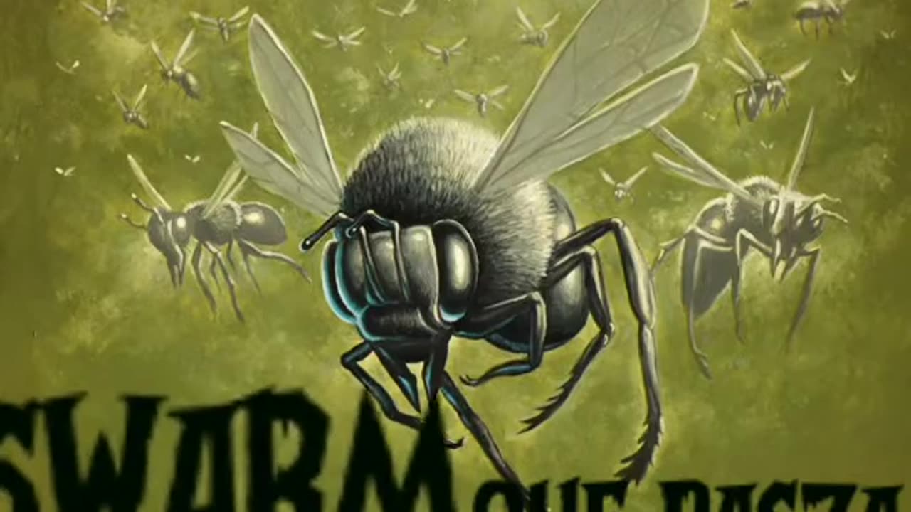 Que Pasza Da Midsouth Monsta - SWARM/Goin Thru' It