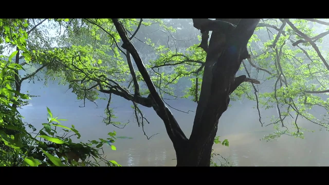 Rain at Island Ford, after the storm