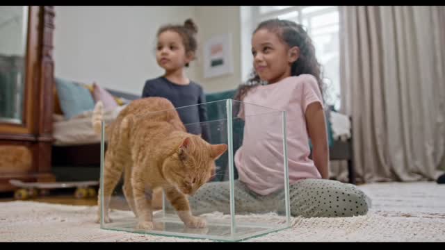 cute baby play with cat