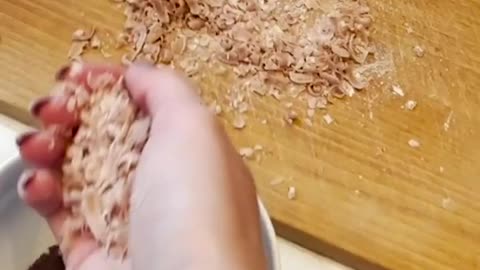 Get Rid Of Ants This Way