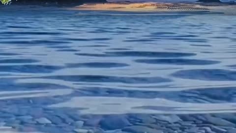 clear lake at sunset