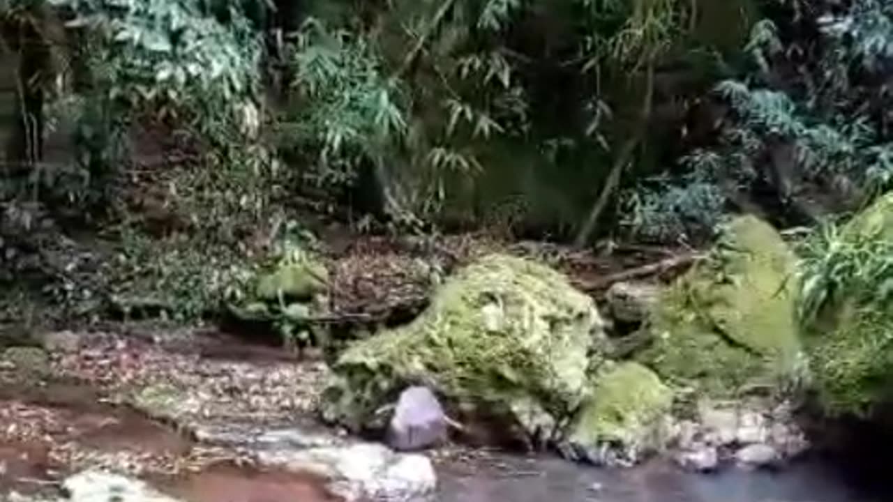 Paisagens natureza