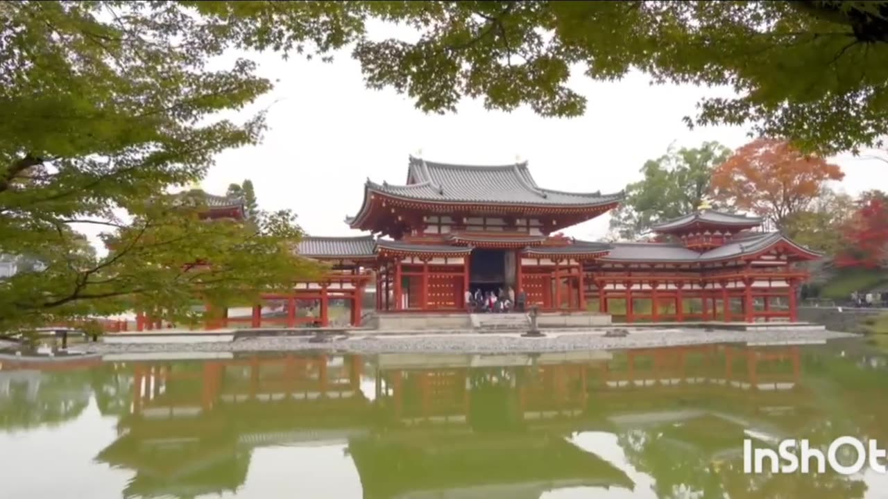 Japan your review and things to do