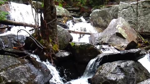Cascades
