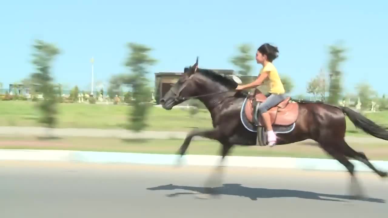 first horse riding || Super lady || HORSE RIDING || horse game