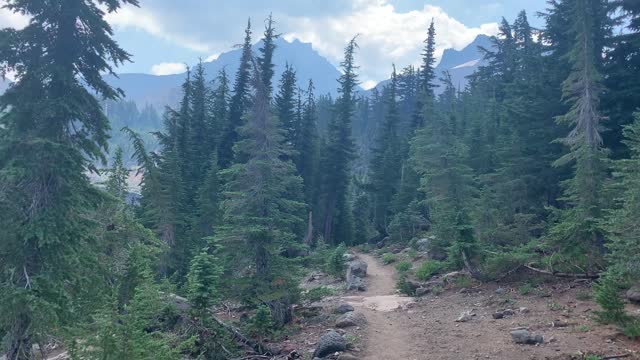 Central Oregon - Three Sisters Wilderness - Volcanic Alpine Forest