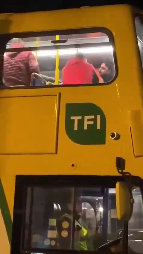 Attack on a bunch of young boys in Ireland. part two different angle