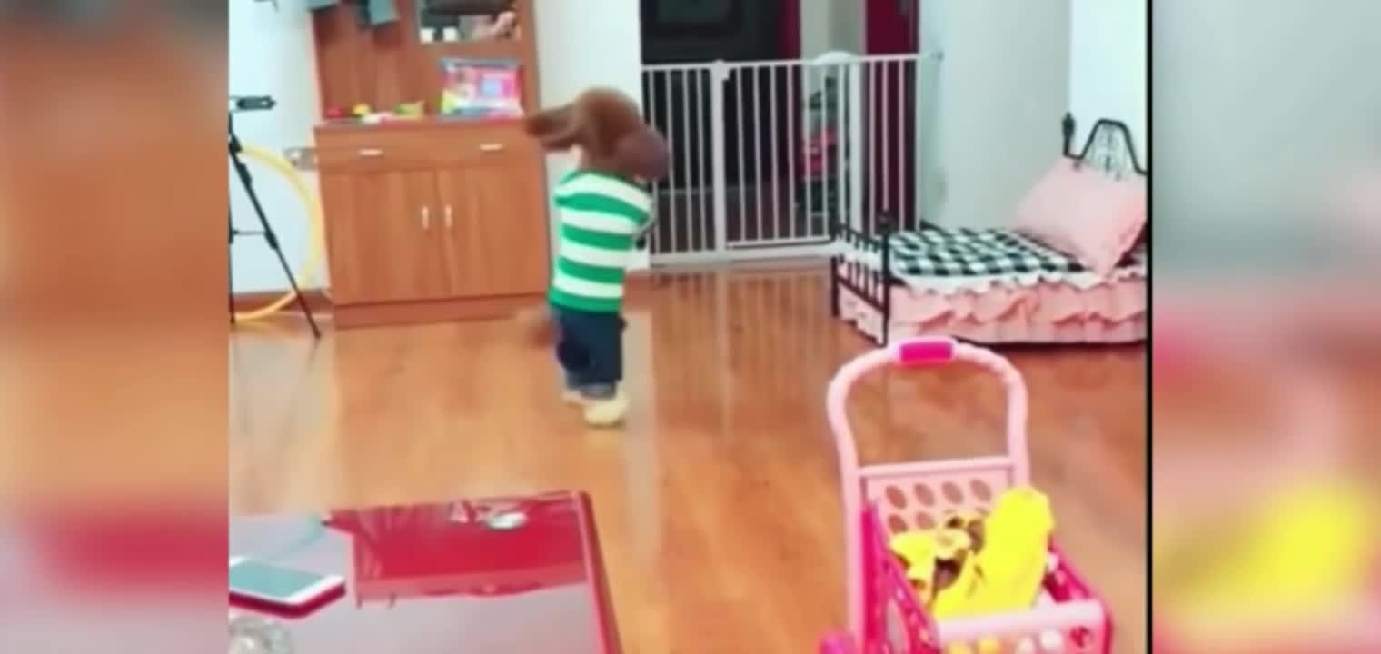 Cute funny puppies