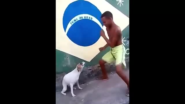 PERRO🐕 BAILA 🍻 AL COMPÁS DEL NIÑO🙉