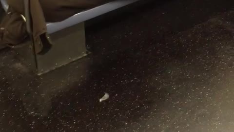 Man sleeps covered in own coat on side on subway