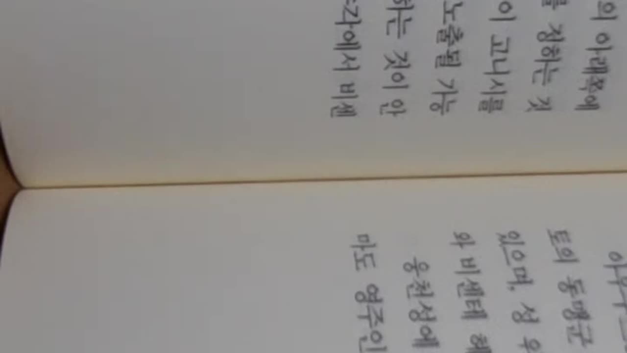 임진왜란과 조선그리스도교전사, 박형무,천주교, 루이스프로이스,일본사,세스페데스신부의편지,일본 납관사,나이토일행,도요토미히데요시,명의지휘,담종인,웅천성,대마도,나이토조안,이여송