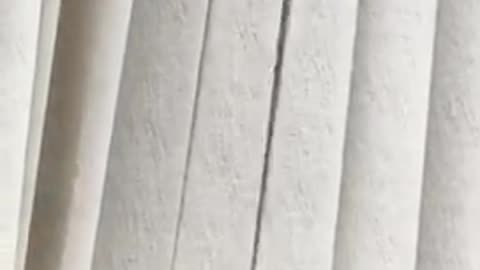 Cat behind blinds falls