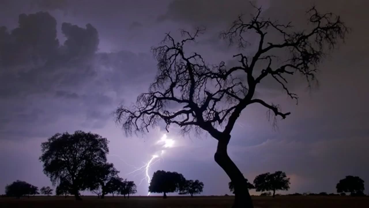 Rain and Thunder 1 hour for Relaxing, Meditation, Sleeping