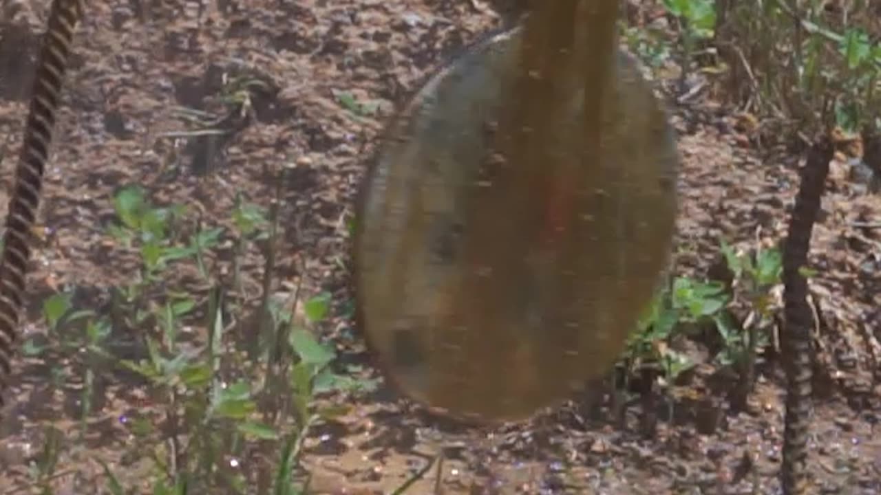 Shooting Steel At 200 yards With The BC-8 30-06