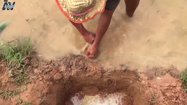 The first Trap Can Catch Alot of fish Crabs And Eels By 5 Bambo With deep Hole