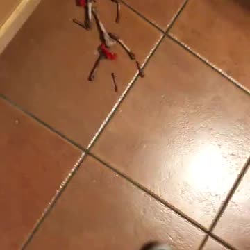 Elf on the Shelf Prank Goes Hilariously Wrong, Kids React