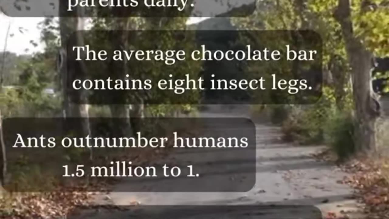 Random facts you didn’t know about