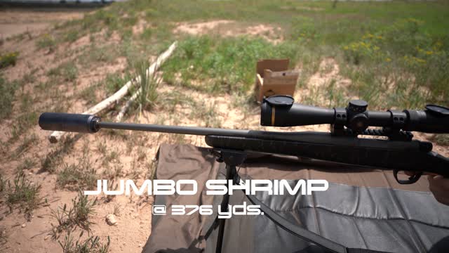 The Jumbo Shrimp Suppressor by Q LLC