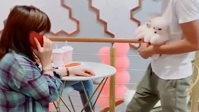Best funny video - funny compilation happen unexpected video 2022