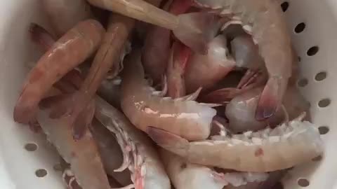 Large Shimp