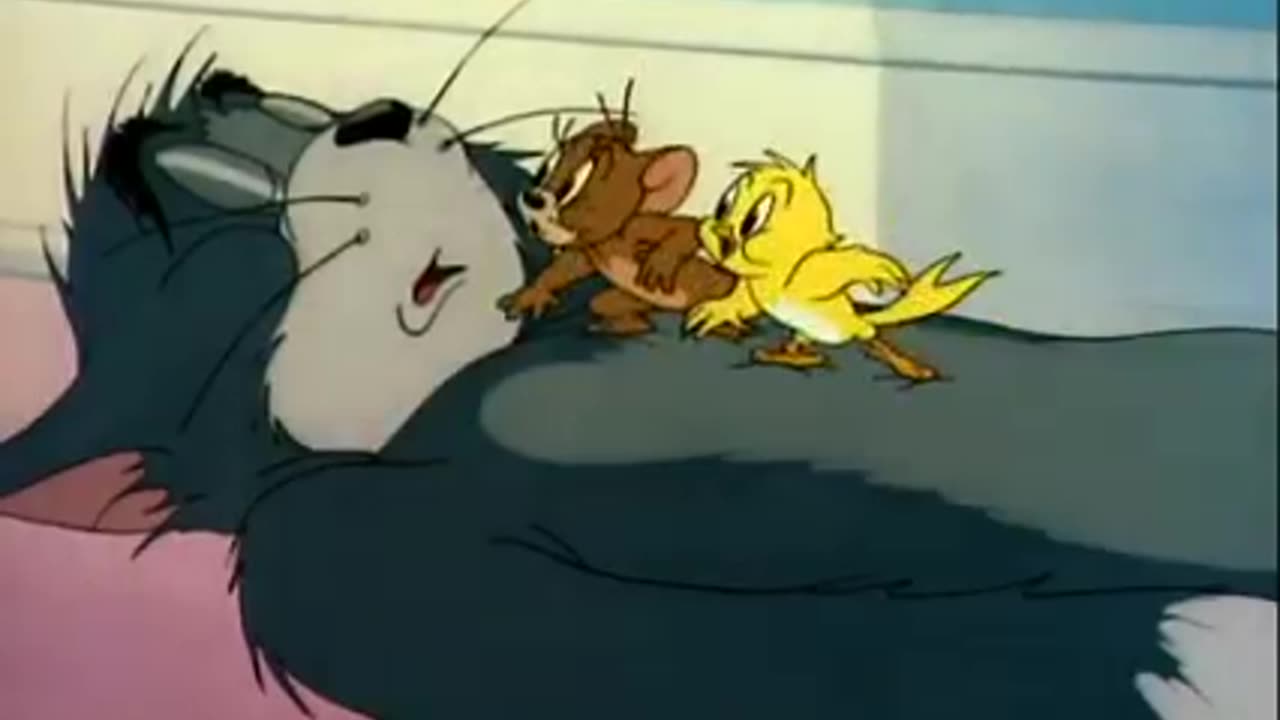 Funny video cartoon movie Tom and Jerry best cartoon