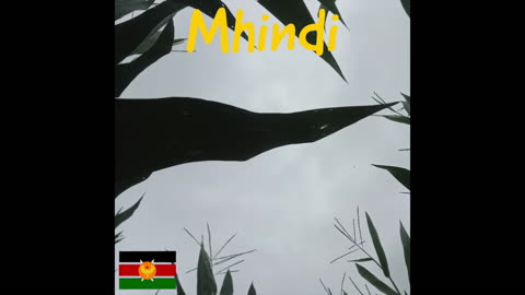 Mhindi