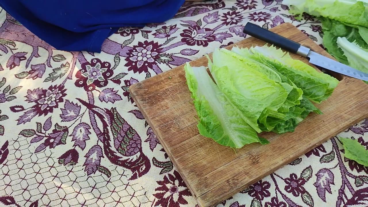 cooking in the nature_grilled chicken and beef with salad. پخت رژیمی به همراه دمنوش ضد دیابتی