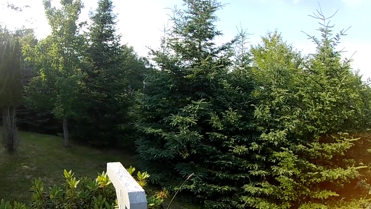 Home Late in the Afternoon